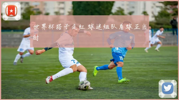 世界杯搭子走红 球迷组队看球正当时