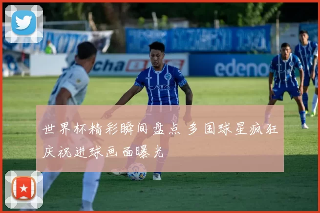 世界杯精彩瞬间盘点 多国球星疯狂庆祝进球画面曝光